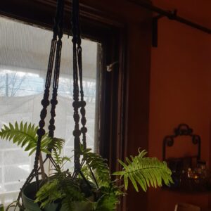 Macrame plant hangers